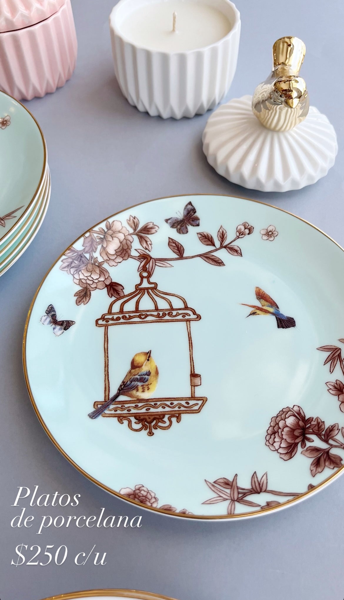 Plato El Pajarito en el Farol